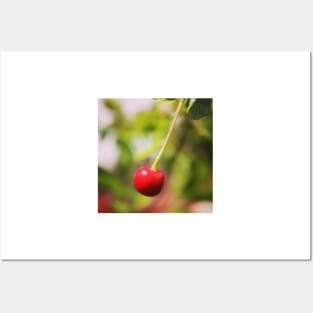 Garden Berry Posters and Art